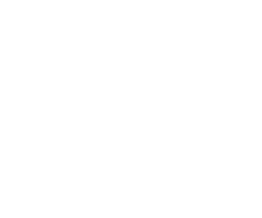 AVL Photo Summit Logo